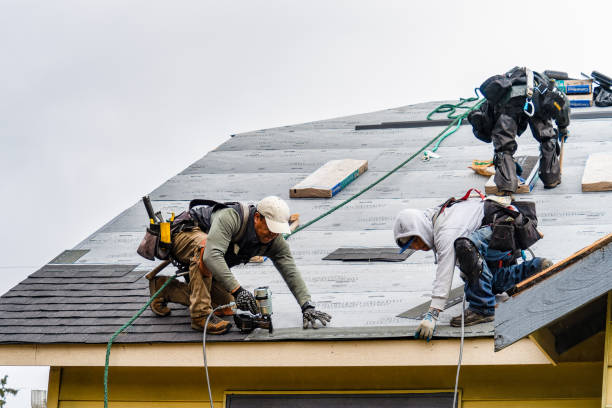 Professional Gutter Installation technician working in DeWitt, AR